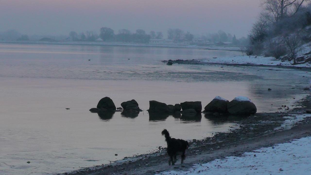 Zirkuswagen nahe Ostsee und Schlei Wagersrott Exterior foto